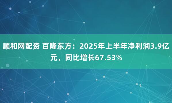 顺和网配资 百隆东方:2025年上半年净利润3.9亿元,同比增长67.53%