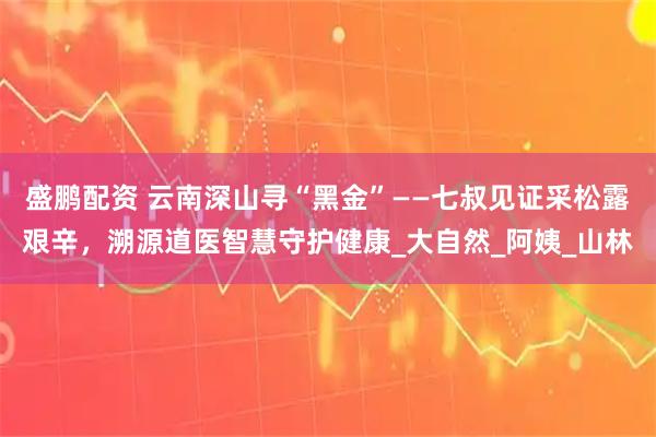 盛鹏配资 云南深山寻“黑金”——七叔见证采松露艰辛，溯源道医智慧守护健康_大自然_阿姨_山林