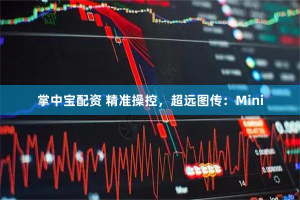 掌中宝配资 精准操控，超远图传：Mini
