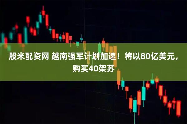 股米配资网 越南强军计划加速！将以80亿美元，购买40架苏